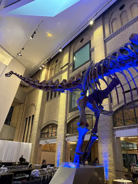 Massive dinosaur skeleton in the room where magician Ian Stewart performed at the Royal Ontario Museum